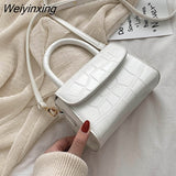 Weiyinxing YIDE New Crocodile Pattern Crossbody Bags for Women 2023 Small Chain Handbag Small Bag PU Leather Hand Bag Ladies Designer