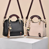 Weiyinxing Chen Female Bag] 2024 New Handbag Web Celebrity Foreign Gas One Shoulder Popular Small Bag Lady Cross-Body Bag Tide