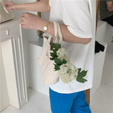 Weiyinxing New Han Dai Same Style Egg Canvas Handbag Size Bento Bag Simple Leisure Portable Tote Bag