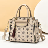 Weiyinxing [Women's Bag] Handbag Female 2024 New Middle-Aged Lady Bag Fashion Large Capacity Cross-Body Bag Mother