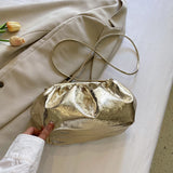 Weiyinxing Colors Fashion Hobo Bag Luxury Designer Handbag Pleated Cloud Bag Brand Clutches Clip Purse Lady Chain Crossbody Shoulder Bags