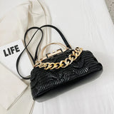 Weiyinxing Designer Handbag And Purse Women 2024 Fashion Chain Evening Clutch Bag Tote Female Large Crossbody Shoulder Bag Hobos