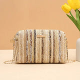 Weiyinxing Knitting Women Straw Bag Beach Summer Chain Small Purse and Handbag Female Shoulder Crossbody Bags Travel Design Flap Bag