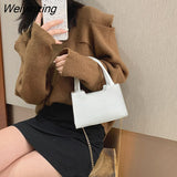 Weiyinxing Pattern Handbags for Women 2023 Soft PU Shoulder Bags Female Small Square Messenger Bags Ladies Travel Chain Crossbody
