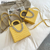 Weiyinxing Handbag Glitter Designer Purse Chain Women's Shoulder Bag Stylish Fashion Crossbody Bag For Girl 2023 Messenger Bags