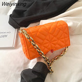 Weiyinxing Branded Solid Color Thick Chain Quilted Shoulder Bags for Women 2023 Summer New Fashion Purses and Handbag Clutch Flap