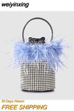 weiyinxing Ostrich Feather Diamonds Evening Bag Crystal Mesh Bucket Lady Handbags Luxury Rhinestone Shoulder Bag Party Small Purses