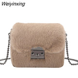 Weiyinxing YIDE Faux Rabbit Fur Bag Women Chain Crossbody Bag Shoulder Handbag Purse Mini Brand Designer Handbags Fashion Winter New