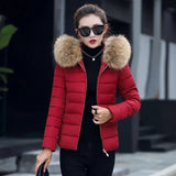 Weiyinxing Down Cotton Padded Parka Female Jacket Short Coat Slim 2023 New Autumn Winter Jacket Women Parkas Fur Collar Outwear