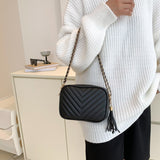 Weiyinxing Striped Crossbody Bags For Women Square Tassel Shoulder Bag Pu Leather Small Chain Ladies Handlbags