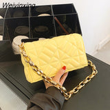 Weiyinxing Branded Solid Color Thick Chain Quilted Shoulder Bags for Women 2023 Summer New Fashion Purses and Handbag Clutch Flap