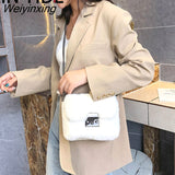 Weiyinxing YIDE Faux Rabbit Fur Bag Women Chain Crossbody Bag Shoulder Handbag Purse Mini Brand Designer Handbags Fashion Winter New
