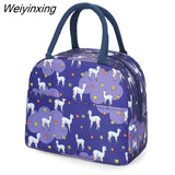 Weiyinxing Insulated Bag Lunch Box Lunch Bags For Women Portable Fridge Bag Tote Cooler Handbags Kawaii Food Bag for Work