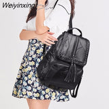 Weiyinxing Leisure Women's Backpack Travel Soft PU Leather Handbag Shoulder Bag